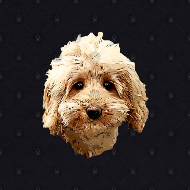 Cavapoo Cockapoo Doodle Cuteness by ElegantCat